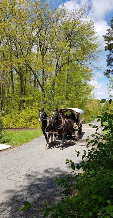 Landhotel Waldperle